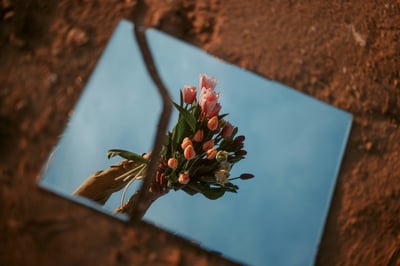 broken link building technique: how to find and fix dead links for better SEO